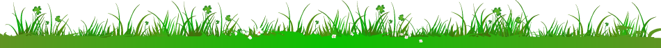 Grass Graphic