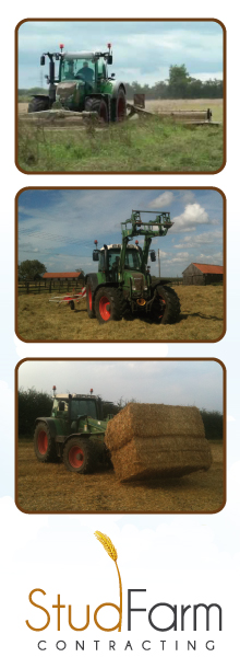 Hay & Straw Graphic